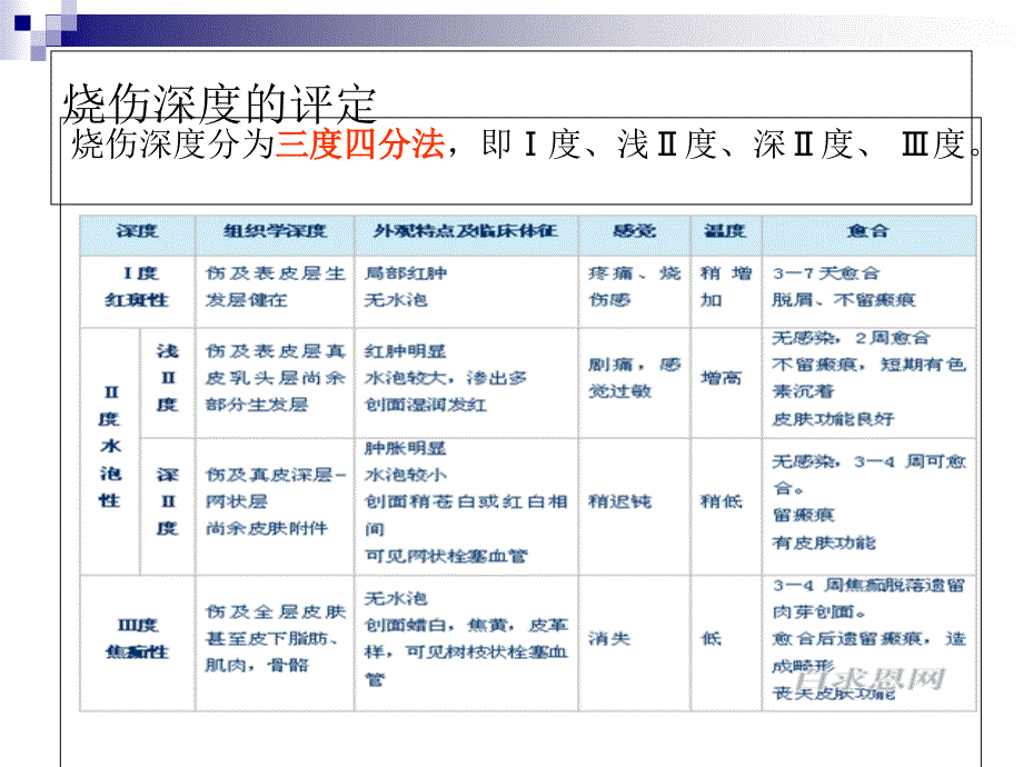 《烧伤的作业治疗》PPT课件_第3页