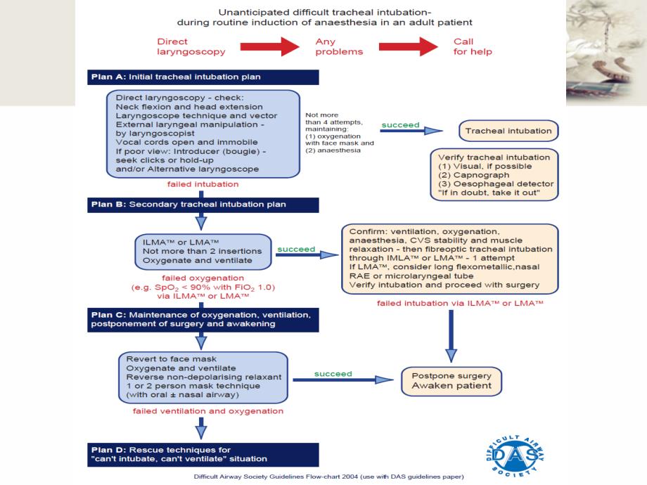 DAS成人未预料的困难气道指南解读DELE课件_第4页