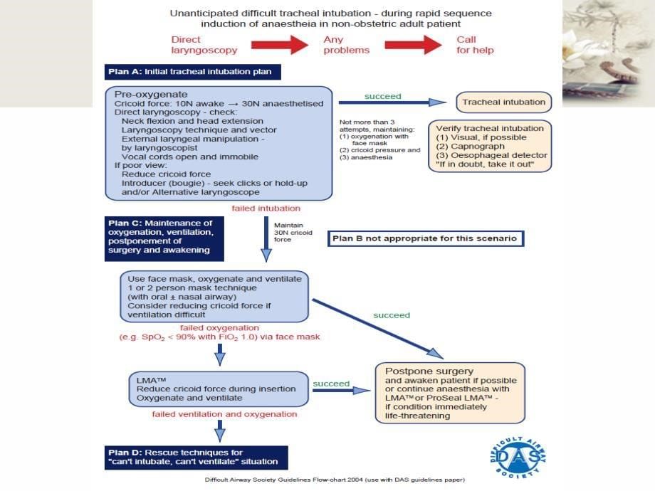 DAS成人未预料的困难气道指南解读DELE课件_第5页