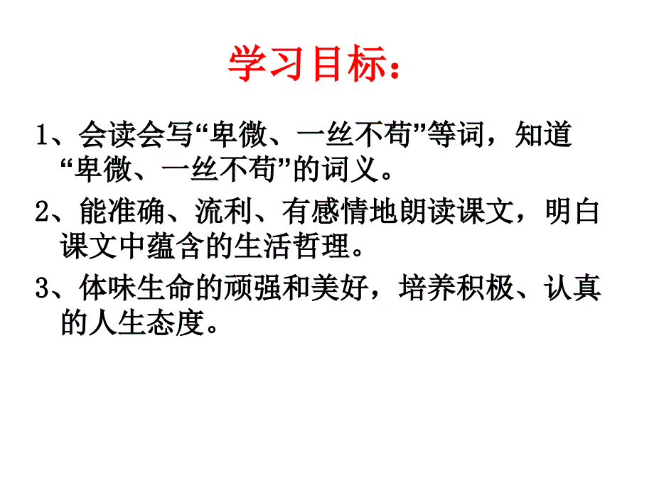 《贝壳》课件_第3页