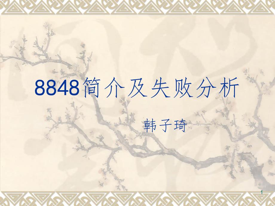 8848简介及失败分析(课堂PPT)_第1页