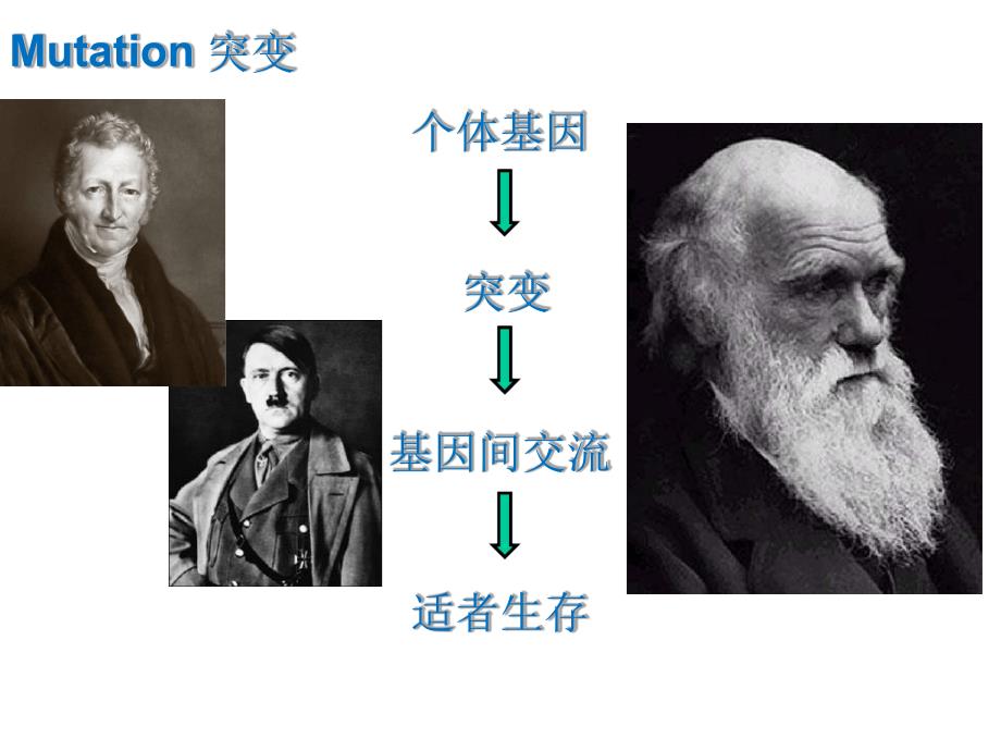 分子遗传学遗传重组_第4页