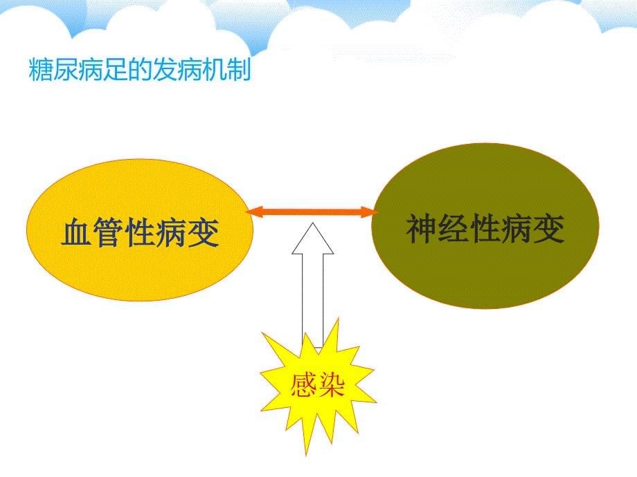 糖尿病足的护理查房.ppt_第5页