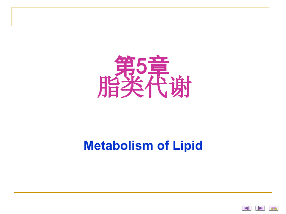 生物化学：5 脂类代谢2014_第1页