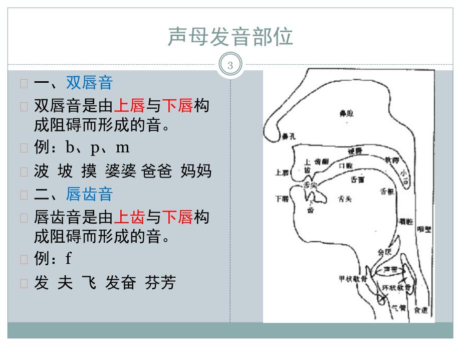 普通话声母发音训练课堂PPT_第3页