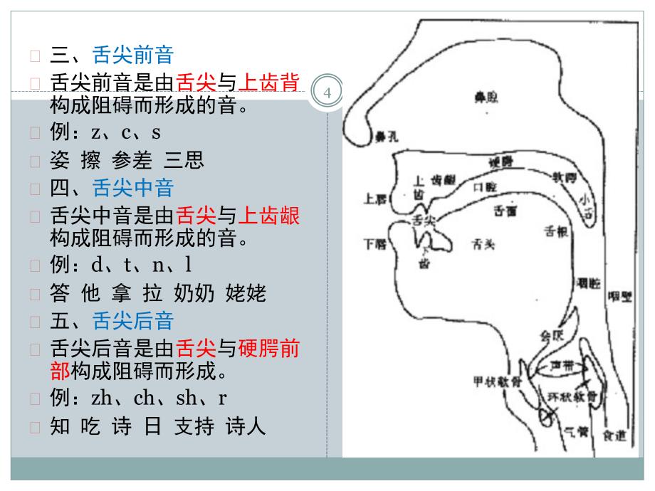 普通话声母发音训练课堂PPT_第4页