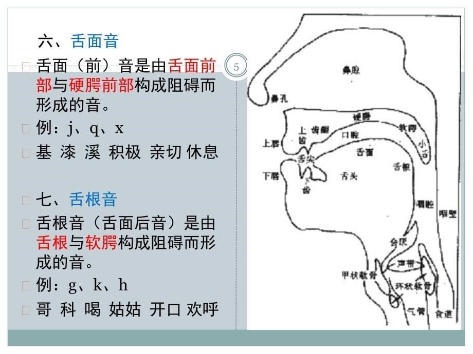 普通话声母发音训练课堂PPT_第5页