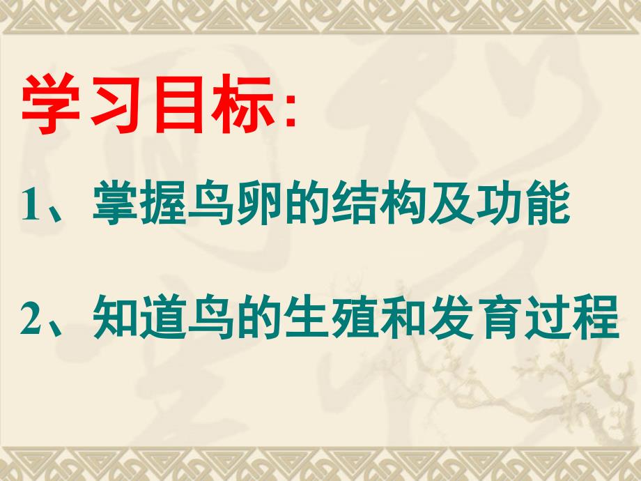 生物鸟类的生殖和发育课件人教版八年级下_第2页