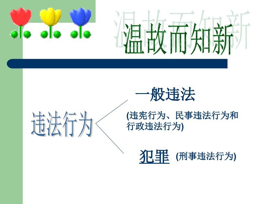 小学主题班会：法制教育 法律“雷池”不可越法律常识_第2页