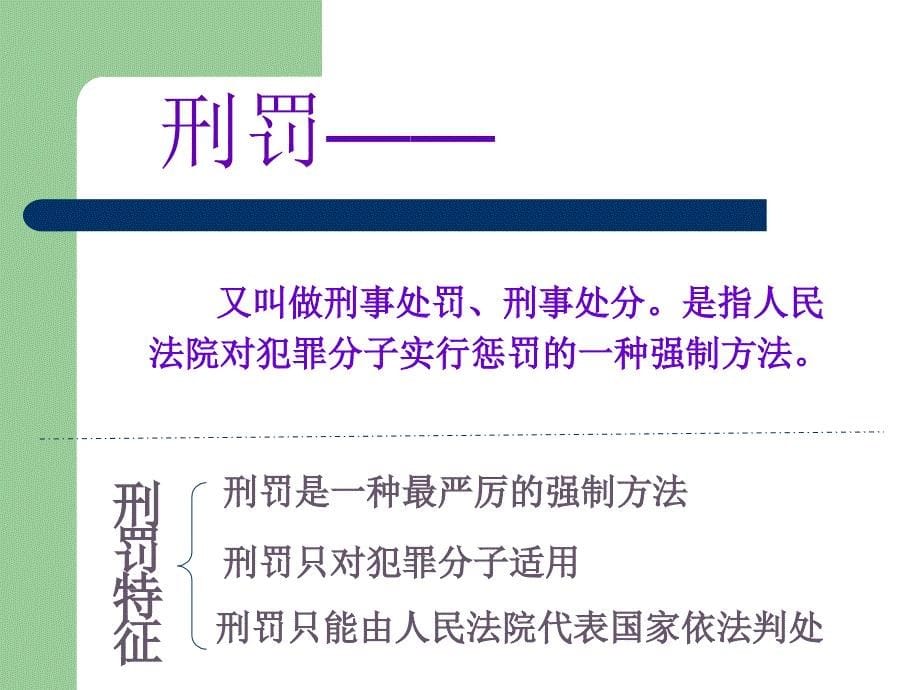 小学主题班会：法制教育 法律“雷池”不可越法律常识_第5页