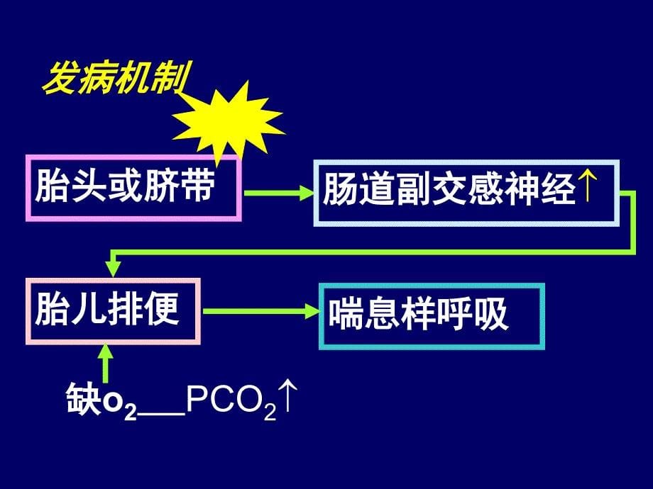 新生儿肺炎的护理作品_第5页