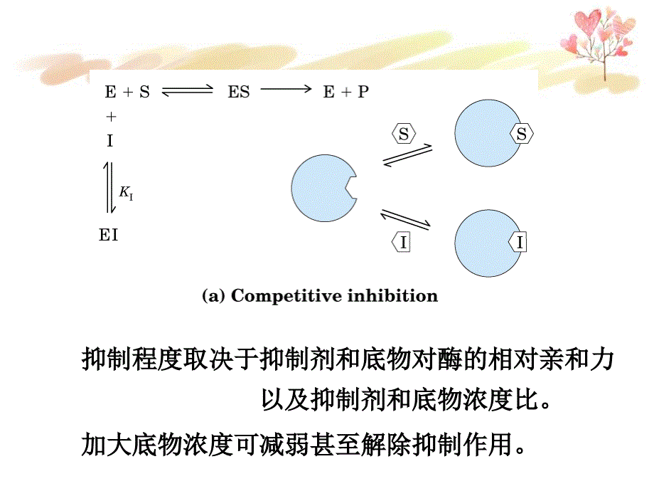 实验5琥珀酸脱氢酶ALT_第4页