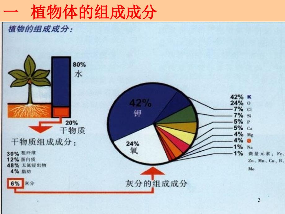 第一章第一节植物的营养成分234_第3页