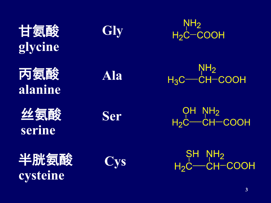 氨基酸蛋白质核酸_第3页