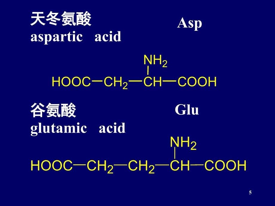 氨基酸蛋白质核酸_第5页