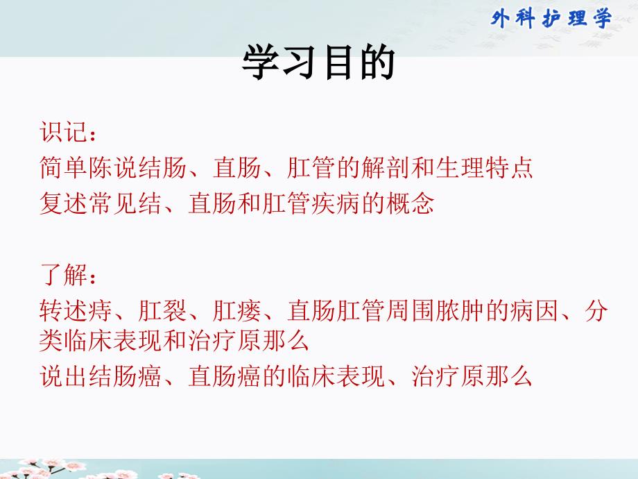 学习第二十九章结直肠和肛管疾病病人的护理ppt课件_第2页