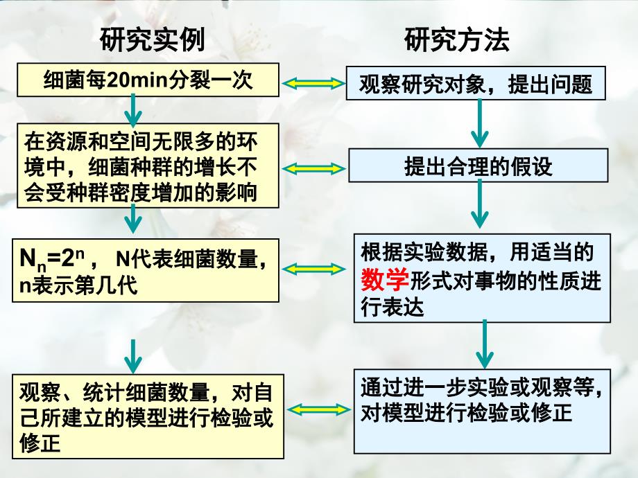 第2节种群数量的变化课件_第4页