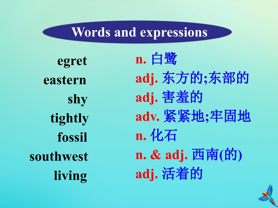 八年级英语下册 Unit 2 Plant a Plant Lesson 11 Amazing Plants参考课件 （新版）冀教版_第2页