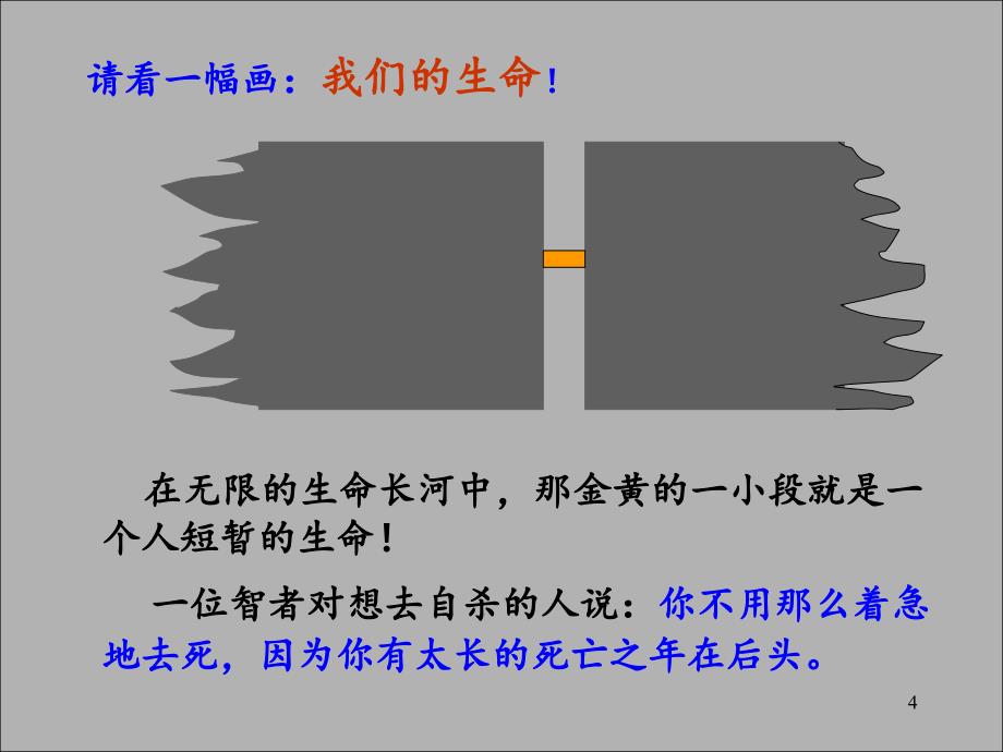 关于生命的思考.PPT_第4页