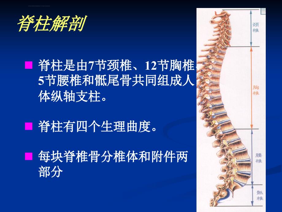 脊柱骨折固定与搬运ppt课件_第3页