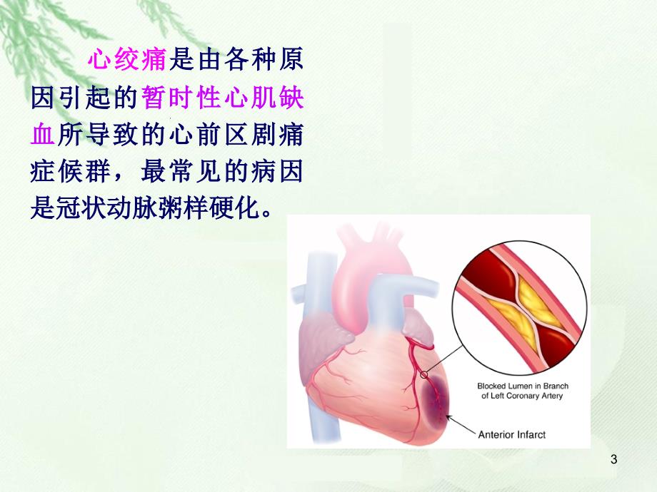 第九讲-抗心绞痛药_第3页