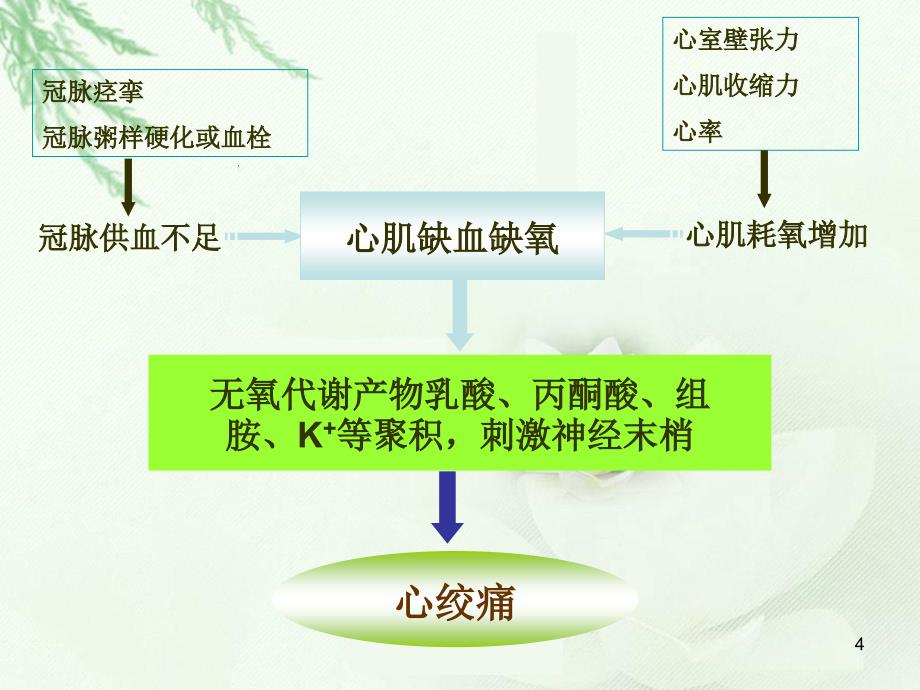 第九讲-抗心绞痛药_第4页