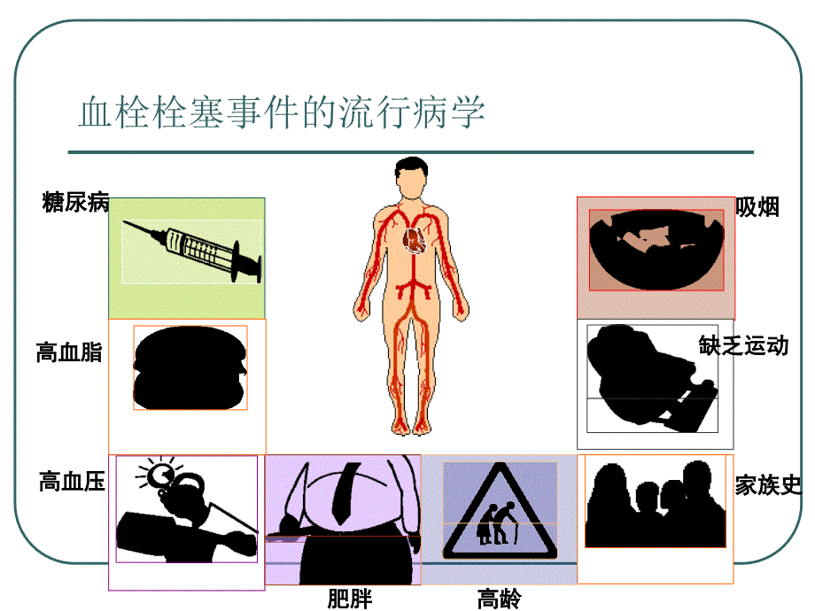 抗凝药物的发展普通肝素戊糖精品PPT_第2页