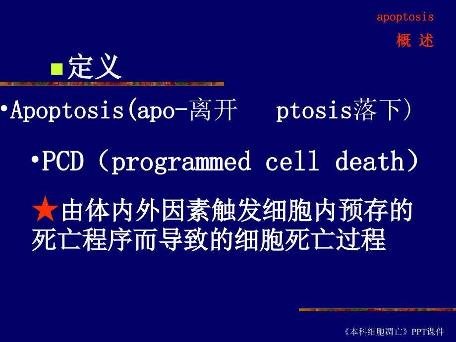 本科细胞凋亡课件_第3页