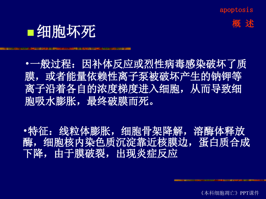 本科细胞凋亡课件_第4页