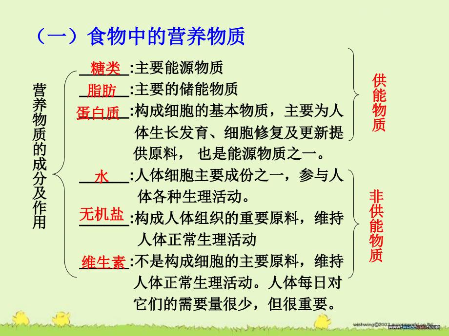 自己食物中营养物质的消化与吸收_第2页