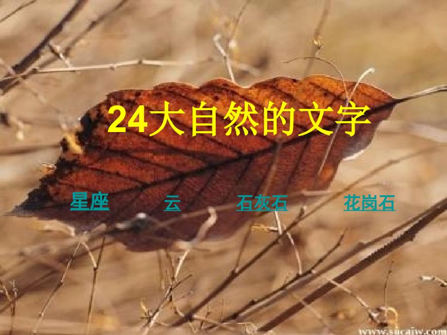 大自然的文字2_第4页