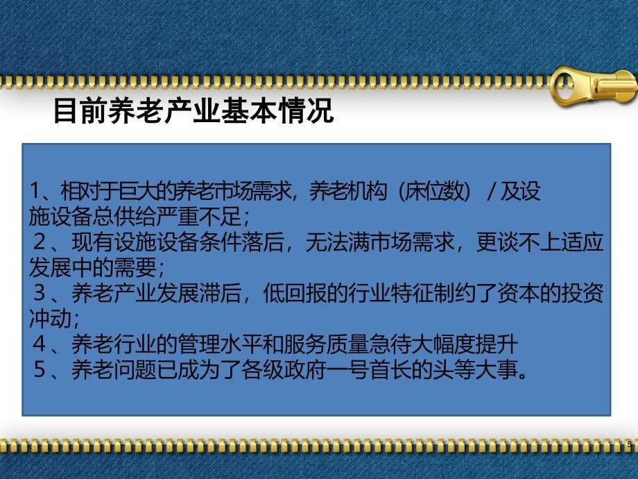 养老产业与候鸟型养老产业模式(对外)_第5页