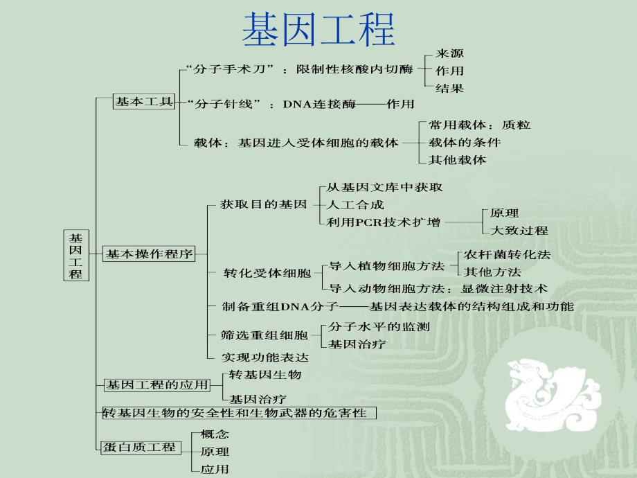 选修三现代生物科技专题知识框架_第4页