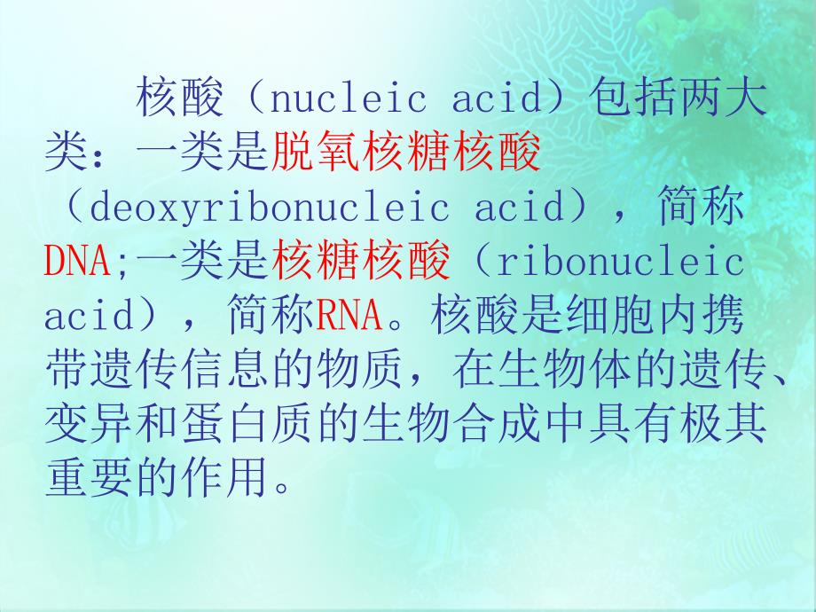 第三节遗传信息的携带者核酸_第3页