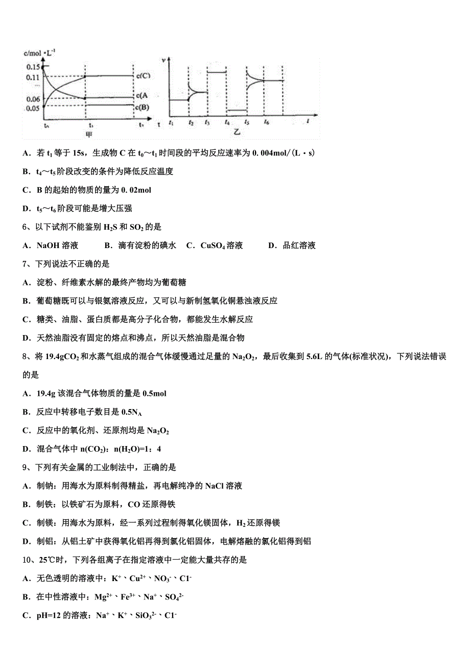 2024学年湖南邵阳县一中高三化学第一学期期中教学质量检测模拟试题（含解析）_第2页