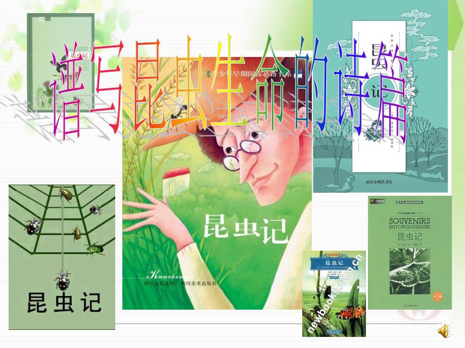 昆虫记课件_第1页