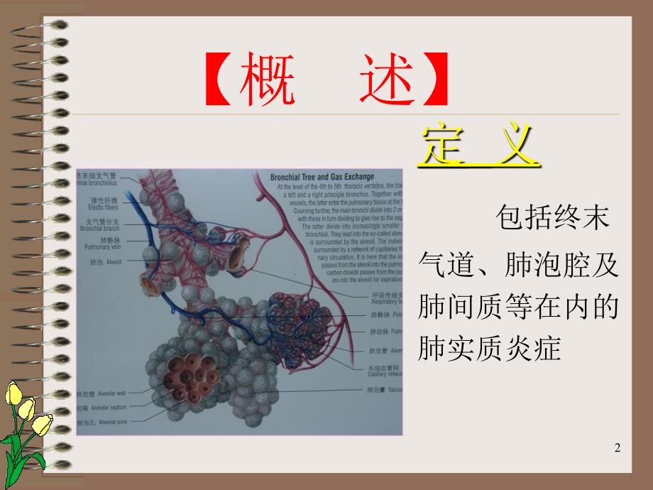 最新完美医学课件肺炎PPT课件_第2页