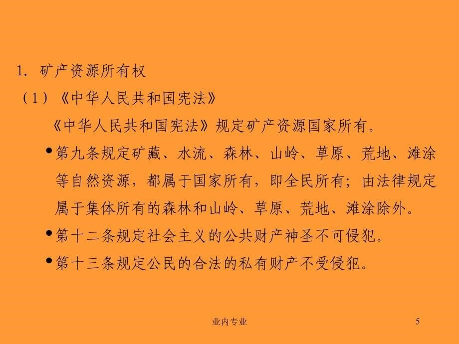 矿业开发中的矿业权和矿业权管理深层分析_第5页