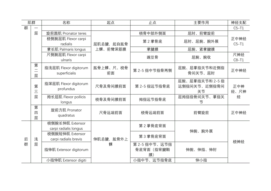 骨科必备-上肢肌肉的起止点和功能表_第3页