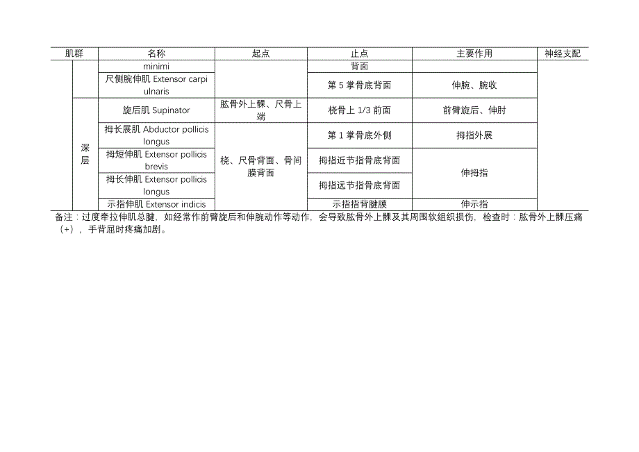 骨科必备-上肢肌肉的起止点和功能表_第4页