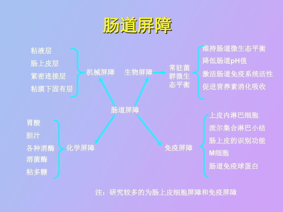 氨基酸营养与肠道健康_第4页