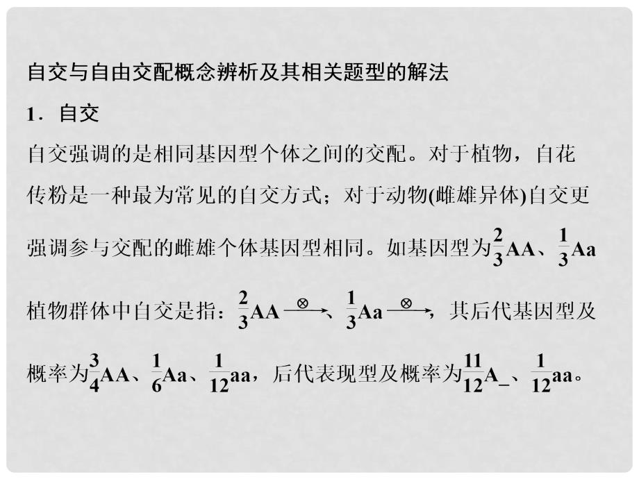 高考生物 疑难聚焦2 自由交配、自交课件_第2页