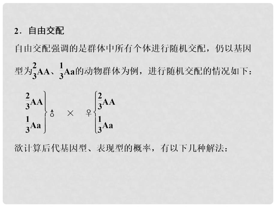 高考生物 疑难聚焦2 自由交配、自交课件_第3页