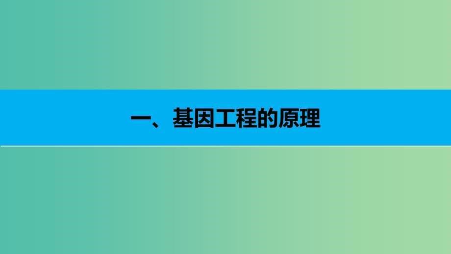 高中生物 4.4 基因工程及其应用（第2课时）课件 苏教版必修2.ppt_第5页