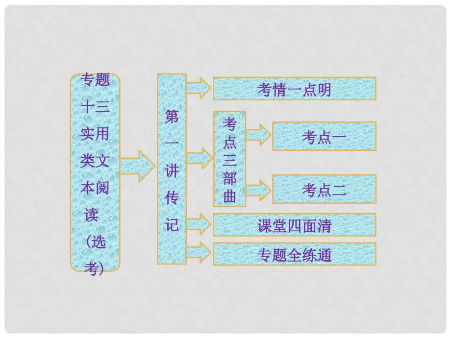 高考语文总复习资料 专题十三 第一讲 传记课件_第2页