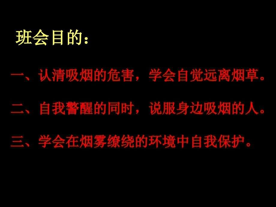 珍爱生命远离烟草主题班会PPT课件_第5页