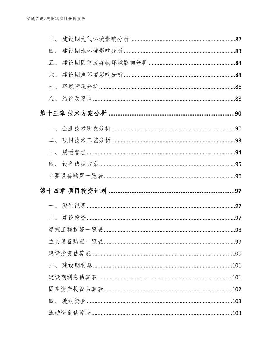 灰鸭绒项目分析报告_范文模板_第5页