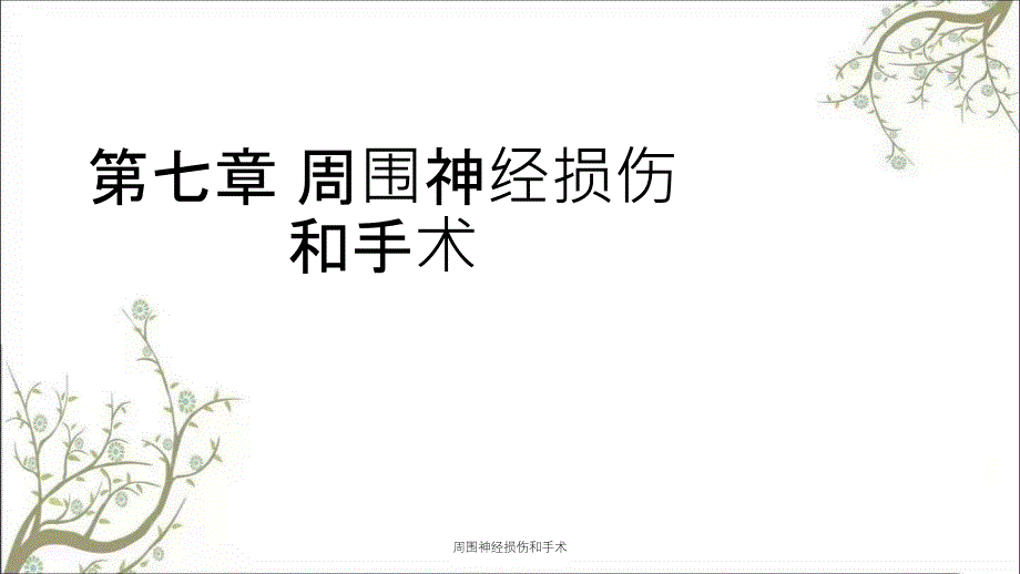 周围神经损伤和手术_第1页