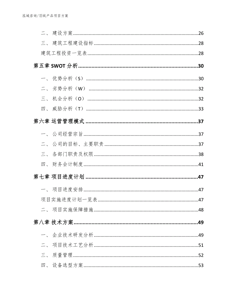 羽绒产品项目方案模板范本_第2页