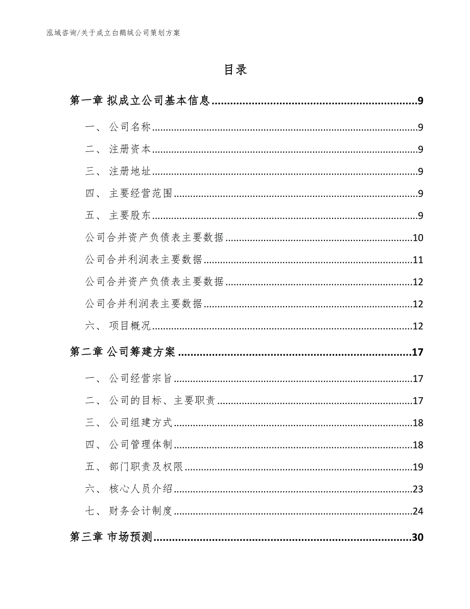 关于成立白鹅绒公司策划方案_参考模板_第2页